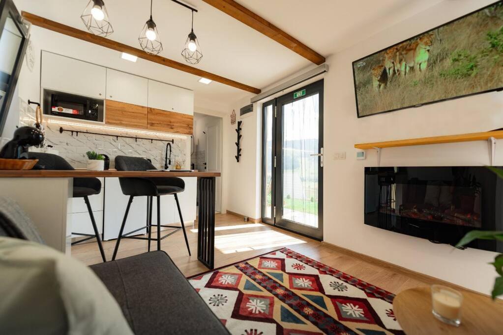 Vila Cozy Cube - Tiny House Şarul Dornei Exteriér fotografie