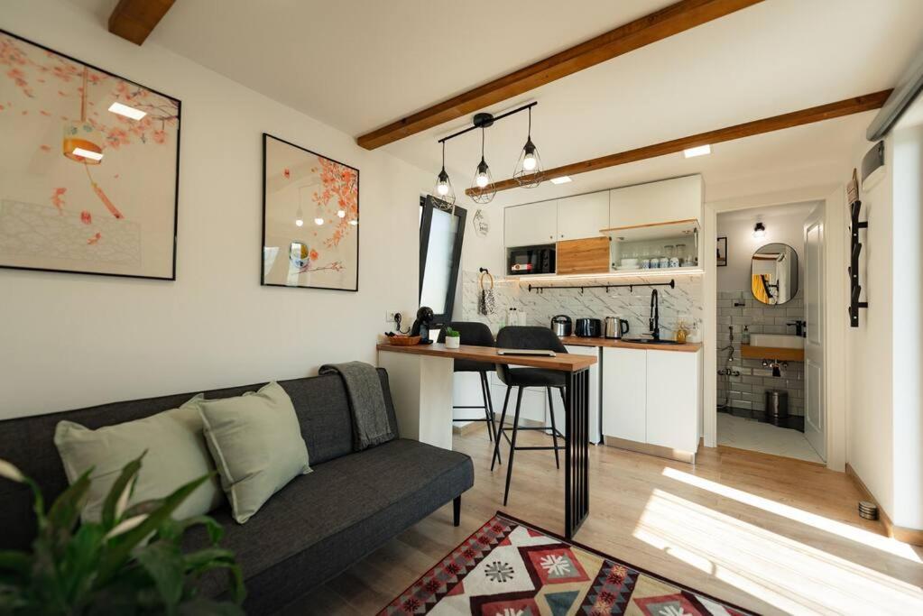 Vila Cozy Cube - Tiny House Şarul Dornei Exteriér fotografie
